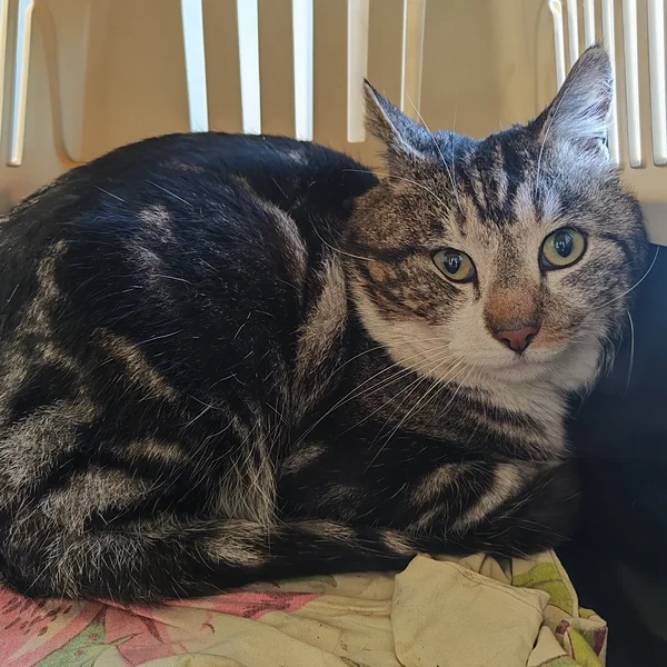 Img 20260320 125234 block