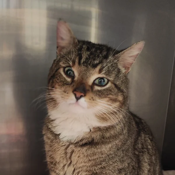 Img 20260326 172550 block