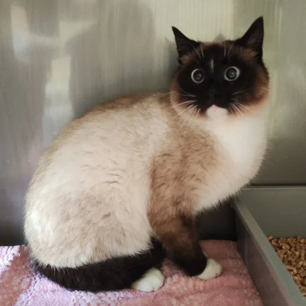 Img 20260408 110811 block