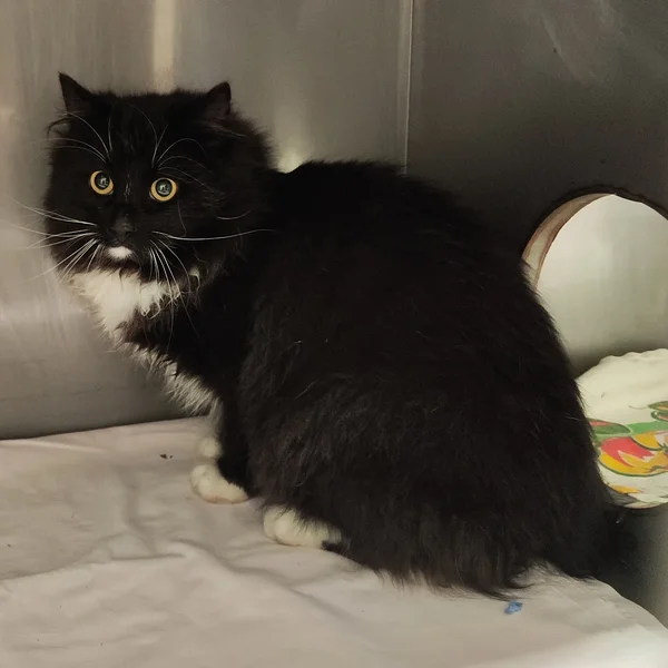 Img 20260408 110946 block