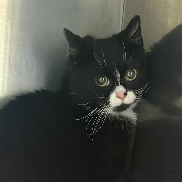 Img 8385%20(1) block