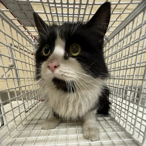 Img 8469%20(2) block