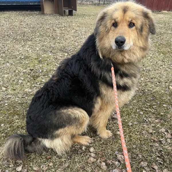 260323%20v%c3%b5ru%20vald%20m%c3%a4ek%c3%bcla block