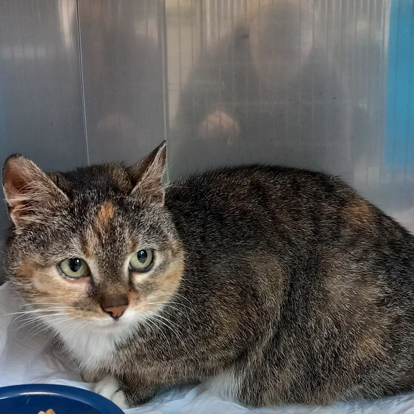 260326v%c3%b5ruvaldraiste block