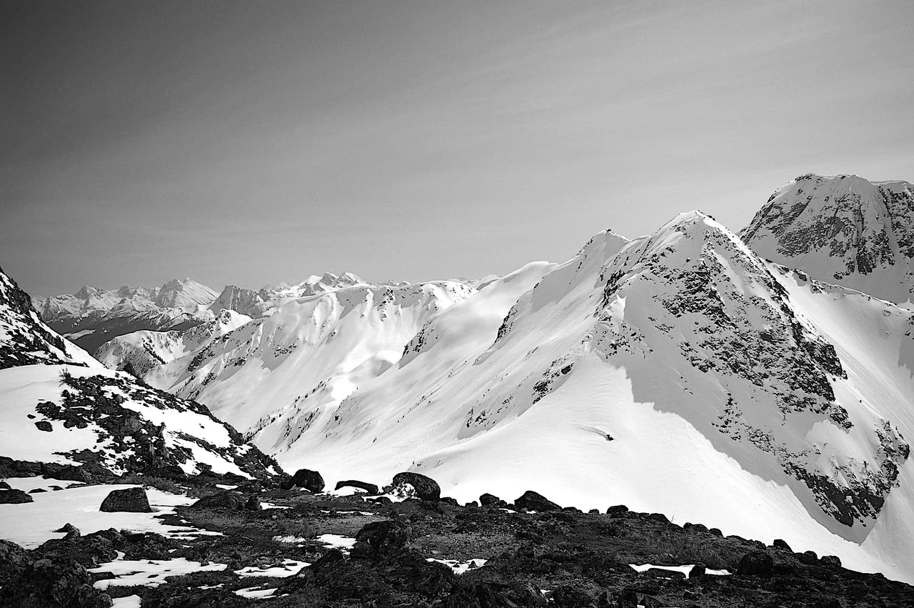 M2 Capital Partners – 