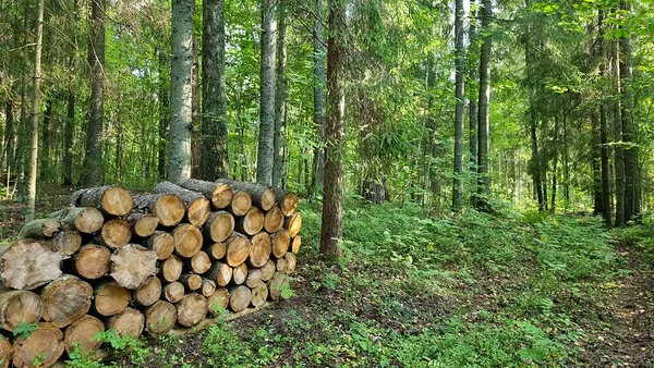 Kokkuveoteid saab rajada nii, et need jäävad maastikus vähemärgatavaks.        Foto: Anneli Palo.