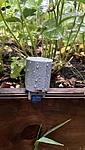 Img 0924
