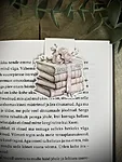 Img 7987