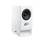 R20bt white 1
