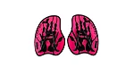 Arena vortex evolution hand paddles