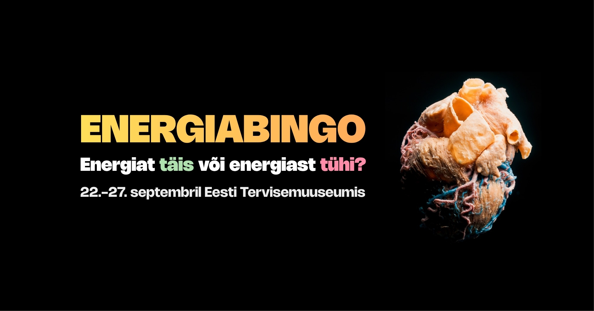 “Energiabingo” – avastusmäng Tervisemuuseumi püsinäitusel