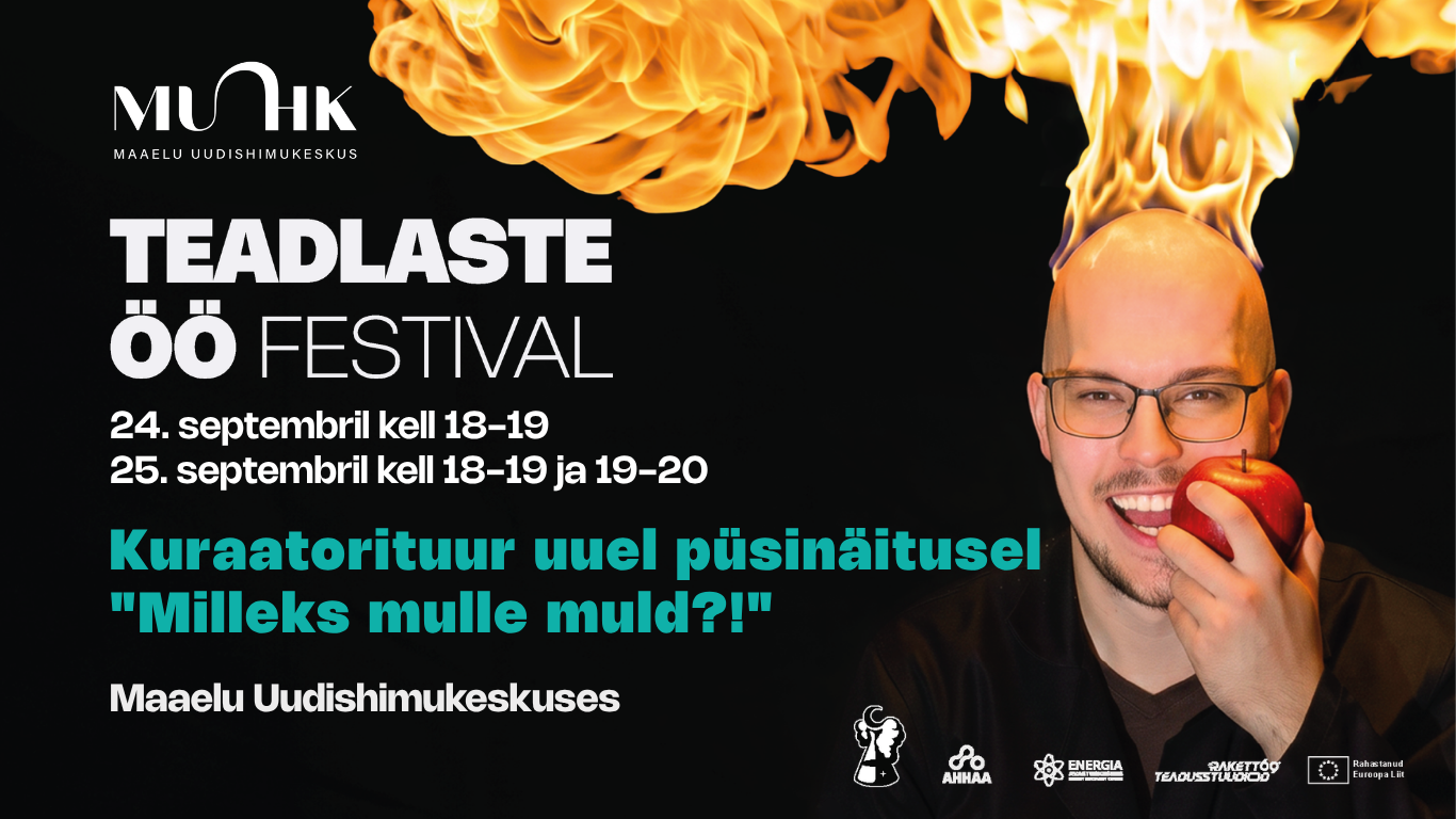 Kuraatorituur uuel püsinäitusel 