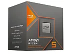 100 100001237box 1